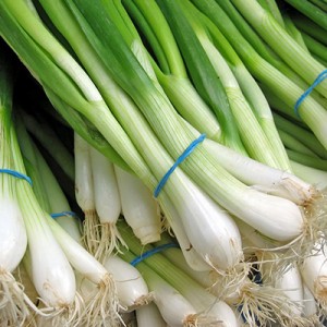 11 Spring Onion